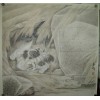 米春茂 - 68 X 68